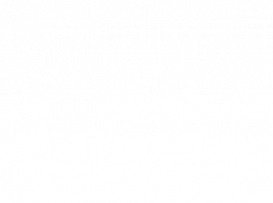 Nyírség Szakmai Továbbképző Kft logója fehér kerettel